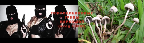 ешки Богданович