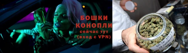ешки Богданович