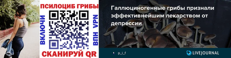 Галлюциногенные грибы GOLDEN TEACHER  Чадан 